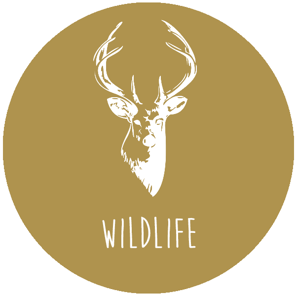 wildlife-button